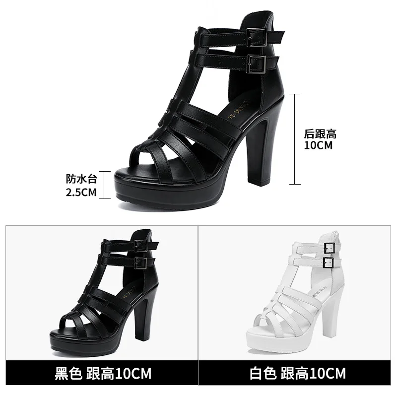 Gladiator Ladies Shoe for Wome - Women'S Shoes Veja ulasan dan harga
